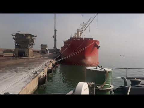 Видео: Рабочая атмосфера в порту.  Писко Чили #море #ship #работавморе 