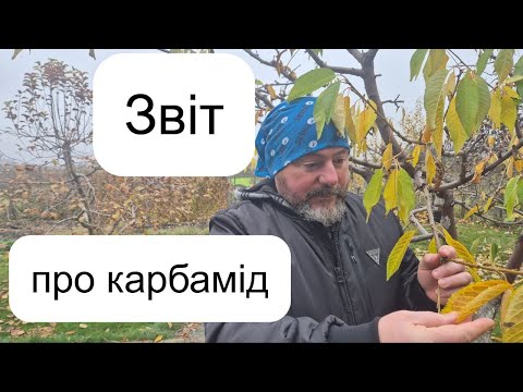 Видео: Звіт про карбамід!