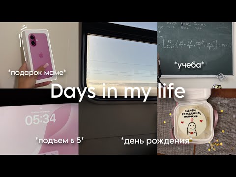 Видео: Мои будни: подъем в 5 утра,учеба,день рождения🐰🖇️