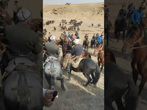 Видео: 03.11.2025 Тоолос Жыргал  амекинин  улагы