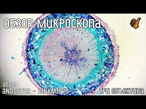 Видео: Микроскоп Andonstar AD209 радиолюбителю и не только. Три объектива.