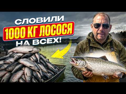 Видео: Рыбалка на Аляске: Лосось, Киты и Медведи! Приключения на острове Кадьяк!