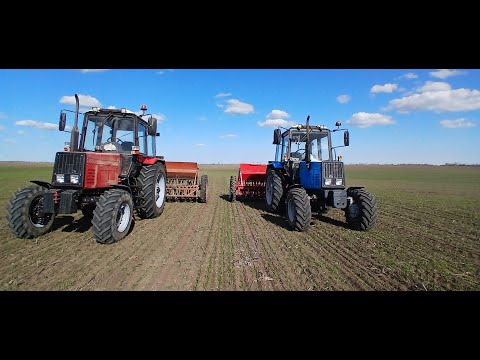 Видео: Прикорневая подкормка пшеницы 2025! Мтз 892 Сз 3.6 погрузчик в помощь!