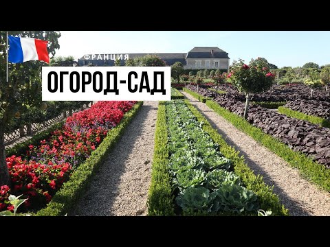 Видео: ФРАНЦИЯ / Самый красивый огород мира! Замок Вилландри / Château de Villandry