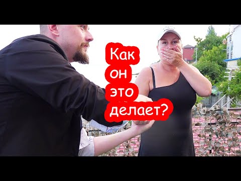 Видео: VLOG Как он это делает?