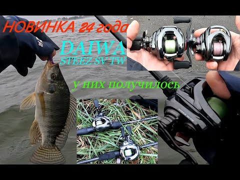 Видео: Новинка 24 года. DAIWA 24 STEEZ SV TW. Тест на воде. Приятно удивила...)))