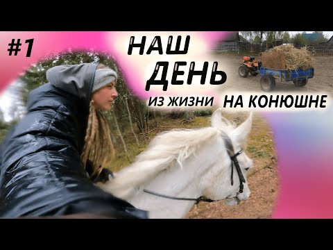 Видео: Один день из жизни В КОНЮШНЕ | Рабочие будни | Часть 1