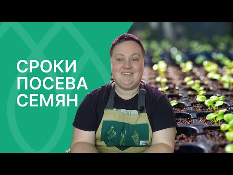 Видео: Остановитесь! Не сейте эти культуры так рано!