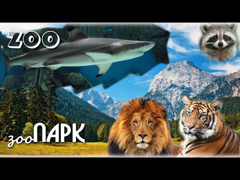 Видео: ЗООПАРК Алматы 2022!!!Kazakhstan, Almaty, Zoo :))