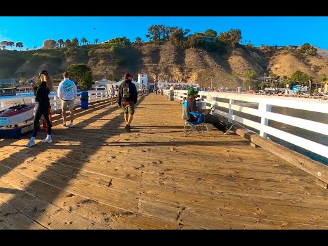 Видео: Рыбалка на пирсе Малибу и рыбалка на серфе: что лучше?