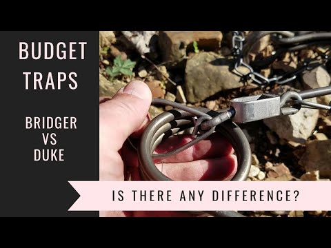Видео: Бюджетные ловушки — Бриджер против Дьюка