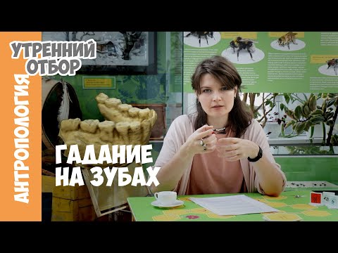 Видео: Что ели австралопитеки? Гадание на зубах. Елена Сударикова