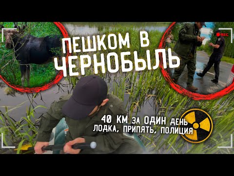 Видео: ПЕШКОМ В ЧЕРНОБЫЛЬ. ПРИПЯТЬ, ЛОДКА, ДИКИЙ ЛОСЬ. ЗОНА ОТЧУЖДЕНИЯ