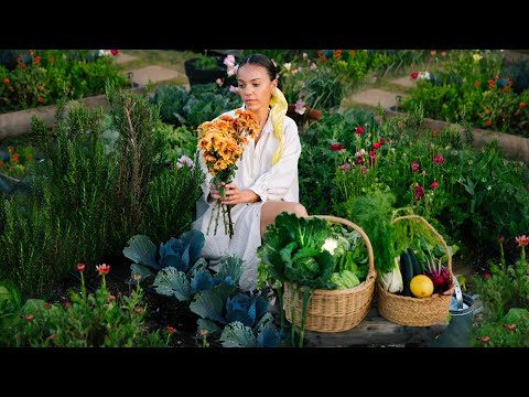 Видео: #94 ЭКСКУРСИЯ ПО МОЕМУ ВЕСЕННЕМУ ОГОРОДУ | Сбор урожая и кулинария (Жизнь в сельской местности)