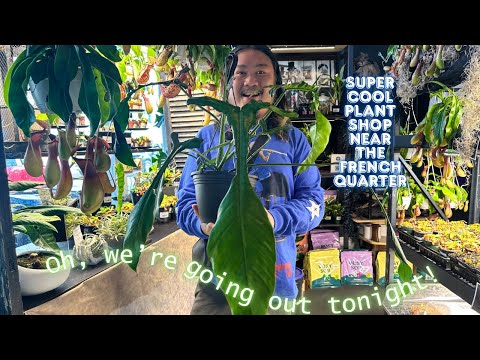 Видео: Приключения в Gnarly NOLA: Редкие растения | Жареный цыпленок | Тур по пабам с привидениями