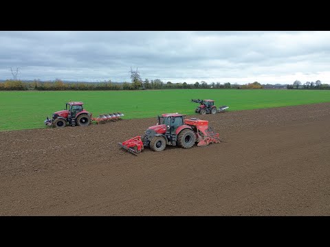 Видео: Озимый овес. Посев завершен!