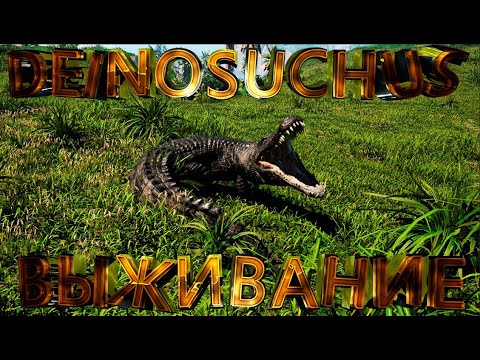 Видео: СОЛО ВЫЖИВАНИЕ ЗА DEINOSUCHUS (КРОКОДИЛ) [THE ISLE EVRIME] #theisle #theisleevrima