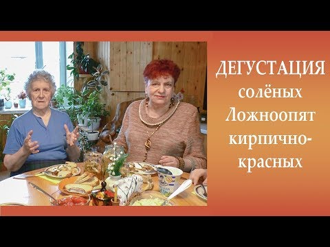 Видео: Солёные  Ложноопята кирпично-красные и Сыроежки.