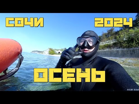 Видео: Подводная охота осень 2024