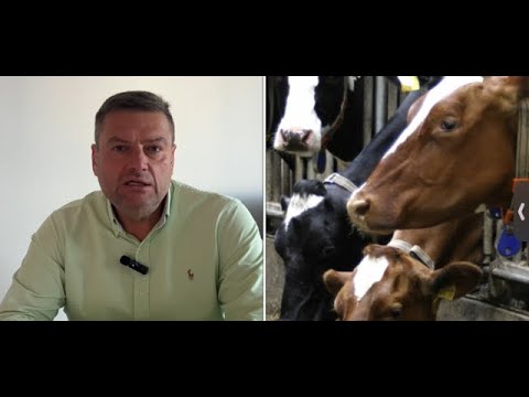 Видео: СКАНДАЛ!!! Чи годують наших корів ПАЛЬМОЮ?
