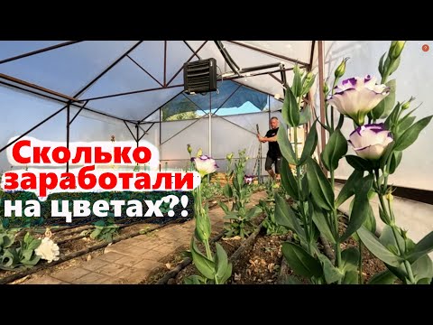 Видео: #226 Как вырастить цветы и заработать?!