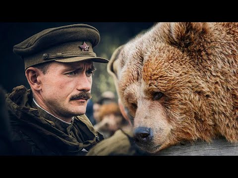 Видео: Медведь пришел на могилу офицера, чтобы проститься. В это трудно поверить