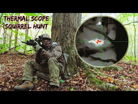 Видео: Охота на белок с тепловизором Mars MT1000LRF!
