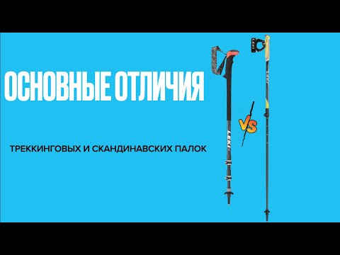 Видео: Отличия треккинговых и скандинавских палок