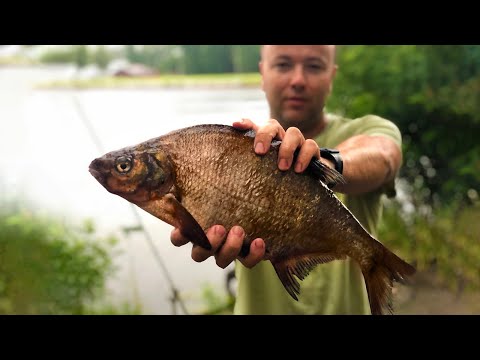 Видео: Ловля ЛЯЩА на фідер влітку. Рибалка в Черкасах.