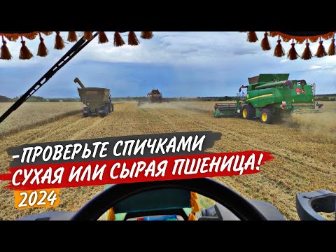 Видео: Стойко молотим влажную ПШЕНИЦУ на John Deere и РСМ-161. А "Хофман" опять "ПИЛЯТ" рапсовые столы.