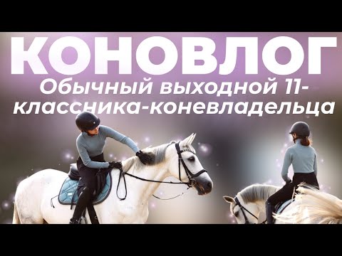 Видео: КОНОВЛОГ: учеба📚, экзамены📝, конюшня🐴 