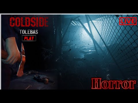 Видео: ColdSide -  Психологический хоррор 2 ЧАСТЬ