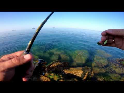 Видео: Ультралайт Черное море, рыбалка карась(ласкирь), скарпена.