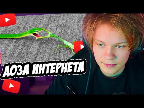 Видео: ДИПИНС СМОТРИТ ДНЕВНУЮ ДОЗУ ИНТЕРНЕТА #13