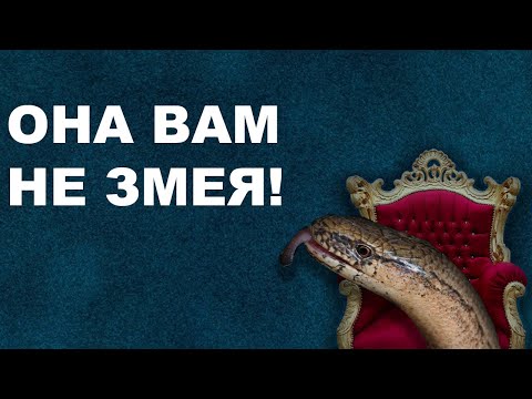 Видео: ЭТУ ЯЩЕРИЦУ ПУТАЮТ СО ЗМЕЕЙ.  БЕЗНОГАЯ ЯЩЕРИЦА.  ЛОМКАЯ ВЕРЕТЕНИЦА.