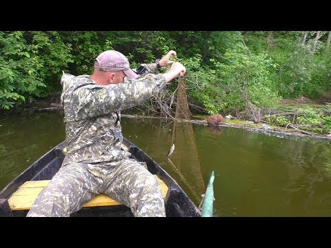 Видео: Рыбалка 🐟 на телевизор 📺