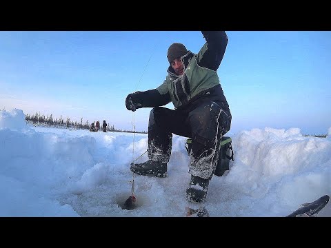 Видео: МЫ НАШЛИ РЫБУ! ВОТ ЭТО КОНТЕНТ! ЖАРА ПОШЛА! Рыбалка в Якутии