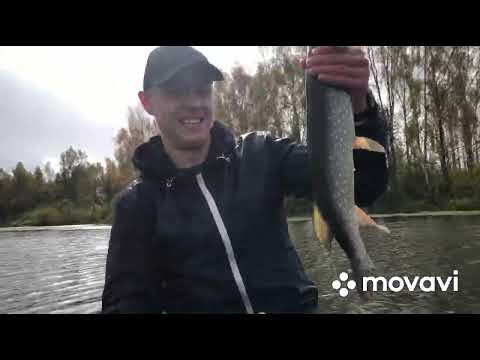 Видео: ЩУКИ.ЩУКА КЛЮЁТ Осенний жор щуки #coolfishing #клеваярыбалка #рыбалка #ВОБЛЕР