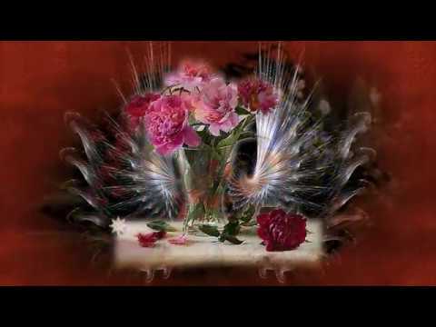 Видео: Елена милая Елена