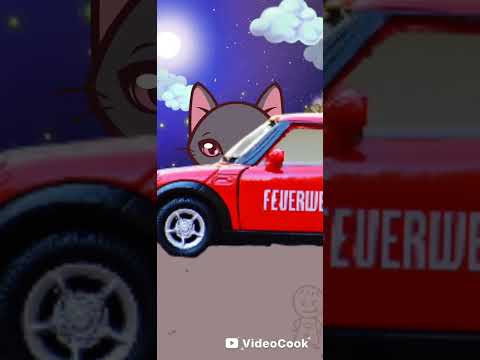 Видео: Ах прекрасна кошачья жизнь 