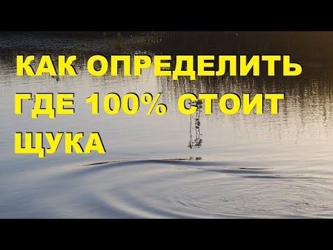 Видео: ДЕД из Пятёрочки РАССКАЗАЛ как ОПРЕДЕЛИТЬ где 100% стоит ЩУКА! [+ для новичков] SeMano TV