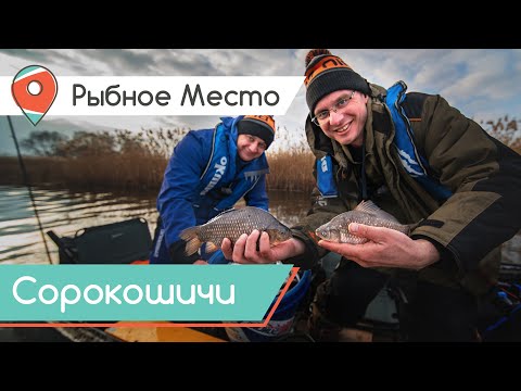 Видео: КАРАСЬ НА ФИДЕР на Днепре. Ловля с лодки в Сорокошичах. Рыбное место.