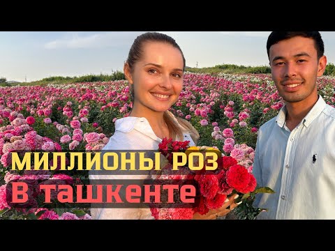 Видео: Самый крупный питомник растений в Узбекистане Zaxriddin flowers.