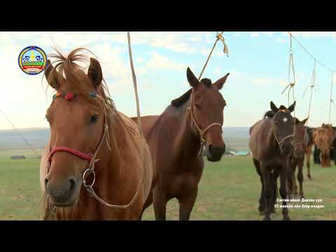 Видео: СУМЫН НААДАМ