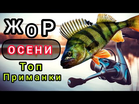 Видео: Приманки на ОКУНЯ осенью. Жор Окуня. Рыбалка на окуня на спиннинг.