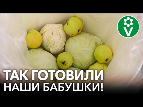 Видео: САМАЯ ПОЛЕЗНАЯ КВАШЕНАЯ КАПУСТА - БЕЗ СОЛИ, САХАРА И УКСУСА! Квашеная капуста по старинным рецептам