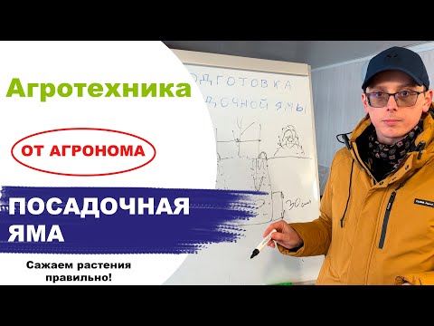 Видео: Надо ли заранее готовить яму для посадки саженцев? Ответ агронома