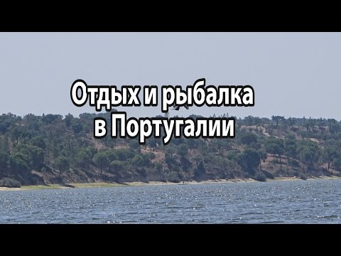 Видео: Рыбалка, природа и отдых в Португалии с семьёй.