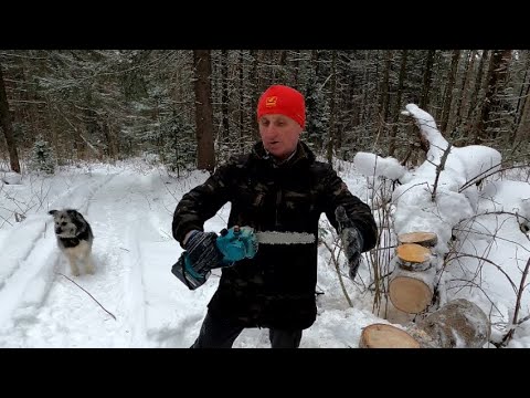 Видео: Электро пила Kamolee 9.0Ah 21V 8-дюймовая в работе. Что делать если вам попалась цепь короче.