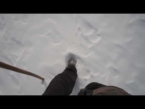 Видео: Новогодний БАЛ (02.01.2025 г.)